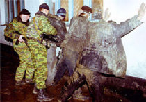 Кавказ - истинное лицо политики Путина picture Кавказ - истинное лицо политики Путина picture