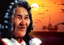 Нефтяная лихорадка на просторах Арктики picture Нефтяная лихорадка на просторах Арктики picture