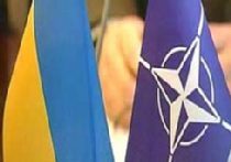 НАТО больше не хочет быть НАТО picture НАТО больше не хочет быть НАТО picture