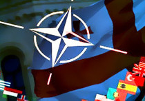 грузия нато грузия нато
