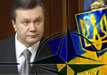 Янукович ликвидирует комиссию по НАТО Янукович ликвидирует комиссию по НАТО