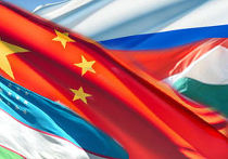 флаги