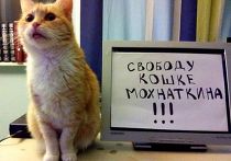 Свободу кошке Мохнаткина! Свободу кошке Мохнаткина!