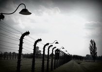 Освенцим сегодня: пустые бараки и разрушенный крематорий Освенцим сегодня: пустые бараки и разрушенный крематорий