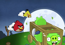 Angry birds Angry birds