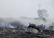Крушение малайзийского Boeing на Украине Крушение малайзийского Boeing на Украине