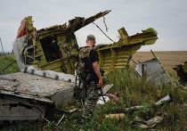 Ополченец на месте крушения самолета Малайзийских авиалиний Ополченец на месте крушения самолета Малайзийских авиалиний