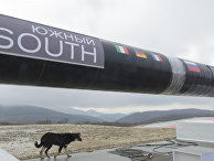 Начало строительства газопровода «Южный поток» Начало строительства газопровода «Южный поток»