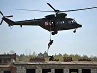 Польские военные принимают участие в учениях НАТО Польские военные принимают участие в учениях НАТО