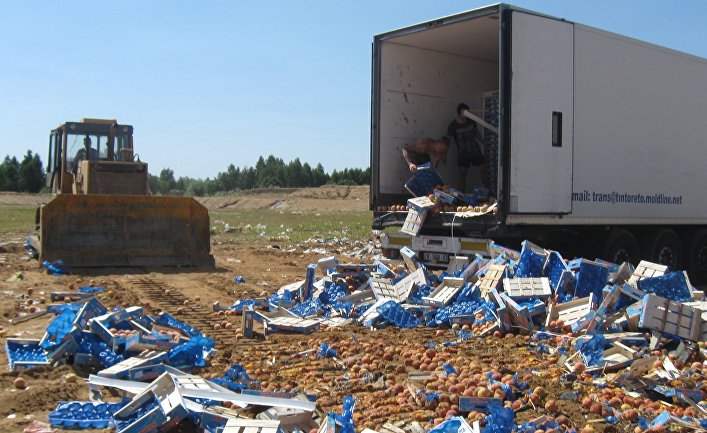 Уничтожение санкционной продукции в России