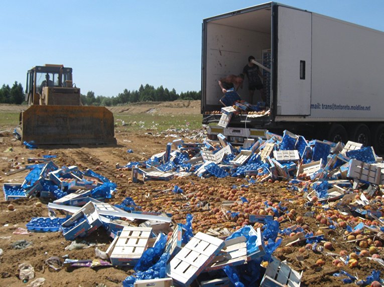 Уничтожение санкционной продукции в России