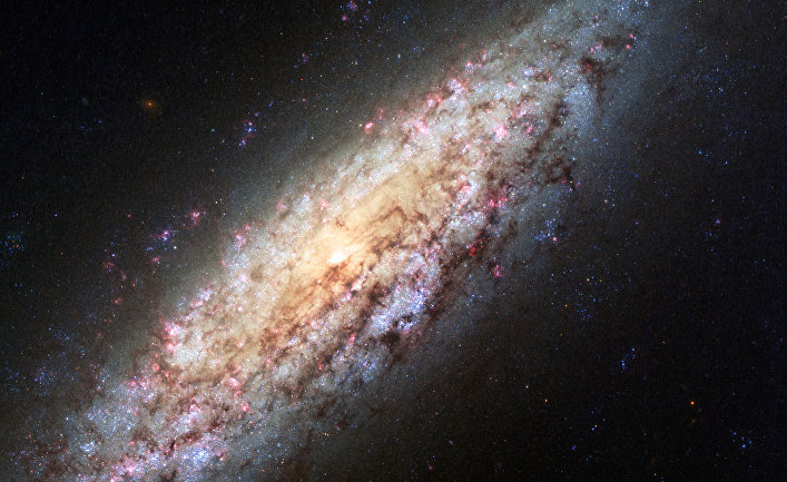   NGC 6503