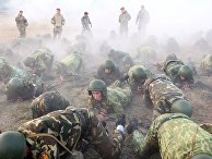 Сдача экзамена на "краповый берет" служащими белорусского спецназа Сдача экзамена на "краповый берет" служащими белорусского спецназа