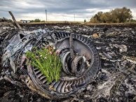 Сбор тел погибших на месте крушения малайзийского лайнера Boeing 777 в районе Шахтерска Сбор тел погибших на месте крушения малайзийского лайнера Boeing 777 в районе Шахтерска