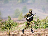 Военные учения NATO «Iron Wolf 2016» Военные учения NATO «Iron Wolf 2016»
