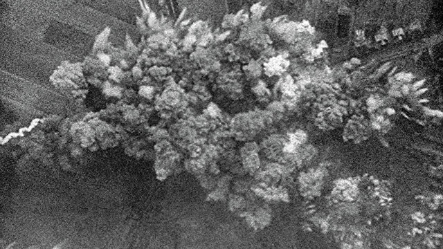 Тайна июньской катастрофы 1941 года. Как и почему 80 лет назад Гитлер напал на Советский Союз (Страна, Украина)