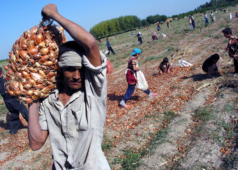 Крестьяне в Ферганской долине
