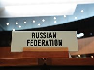 Российская Федерация в WTO Российская Федерация в WTO