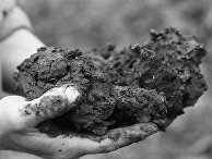 Украинский чернозем Украинский чернозем