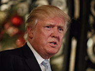 Избранный президент США Дональд Трамп. Архивное фото Избранный президент США Дональд Трамп. Архивное фото
