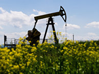 Нефтяные станки-качалки Нефтяные станки-качалки