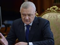 Губернатор Рязанской области Олег Ковалёв во время встречи с президентом России Владимиром Путиным в Кремле. 1 августа 2016