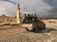 Пальмира при поддержке ВКС РФ была взята войсками Сирийской Арабской Республики Пальмира при поддержке ВКС РФ была взята войсками Сирийской Арабской Республики