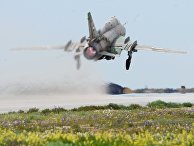 Самолет сирийских военно-воздушных сил на аэродроме "Шайрат" 8 апреля 2017. Сирийские ВВС возобновили вылеты с аэродрома спустя сутки после ракетного удара США Самолет сирийских военно-воздушных сил на аэродроме "Шайрат" 8 апреля 2017. Сирийские ВВС возобновили вылеты с аэродрома спустя сутки после ракетного удара США