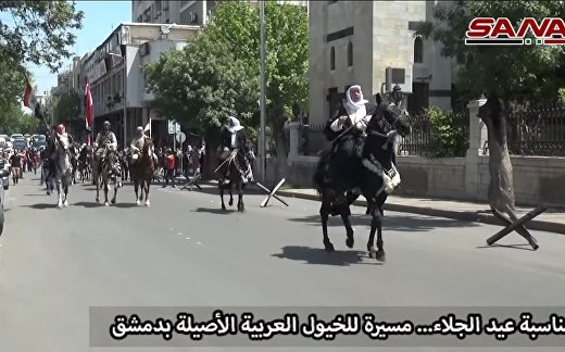 Парад чистокровных арабских лошадей в Дамаске в честь Дня независимости Парад чистокровных арабских лошадей в Дамаске в честь Дня независимости