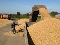 Уборка урожая зерновых в Новосибирской области Уборка урожая зерновых в Новосибирской области