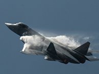 Самолет Т-50 во время показательных выступлений на Международном авиационно-космическом салоне МАКС 2015 в подмосковном Жуковском Самолет Т-50 во время показательных выступлений на Международном авиационно-космическом салоне МАКС 2015 в подмосковном Жуковском