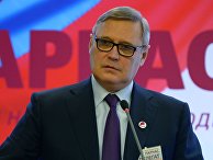 Съезд партии ПАРНАС