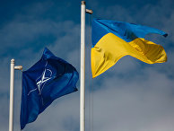 Национальный флаг Украины и флаг Организации Североатлантического договора Национальный флаг Украины и флаг Организации Североатлантического договора
