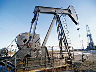 Сургутнефтегаз наряду с добычей нефти ведет дополнительную разработку ее пластов Сургутнефтегаз наряду с добычей нефти ведет дополнительную разработку ее пластов