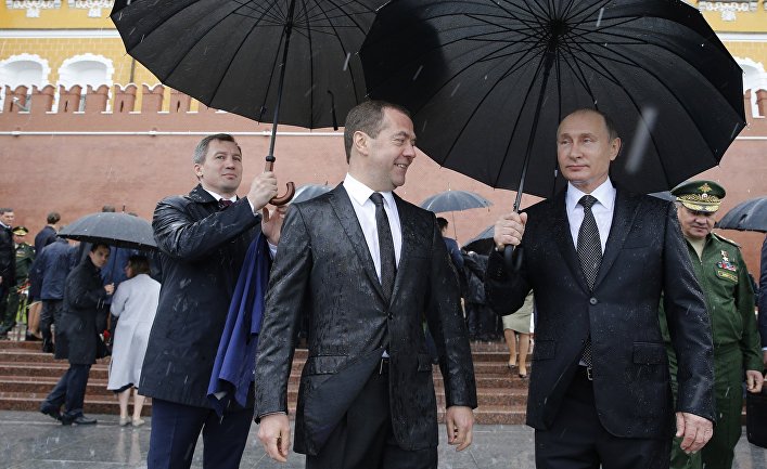 мокрый медведев фото течение