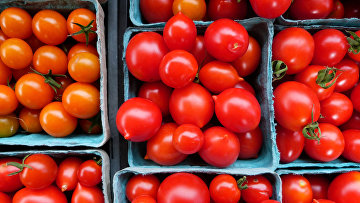 Помидоры