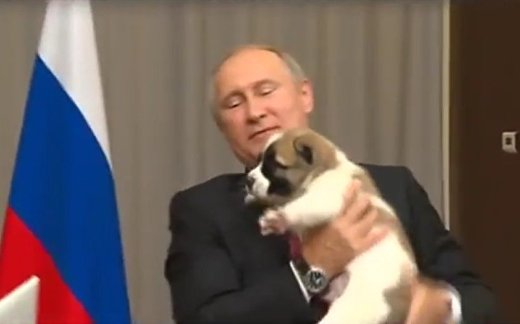 Верный сбежал от Путина Верный сбежал от Путина
