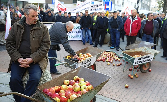 Несмотря на эмбарго РФ, Польше удалось продать весь прошлогодний урожай яблок | Мир | ИноСМИ - Все, что достойно перевода