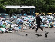 Проблема утилизации мусора во Львове Проблема утилизации мусора во Львове