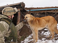 Военнослужащий Народной милиции ЛНР на передовой позиции в Донбассе Военнослужащий Народной милиции ЛНР на передовой позиции в Донбассе