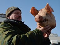Рождественская продовольственная ярмарка во Владивостоке Рождественская продовольственная ярмарка во Владивостоке
