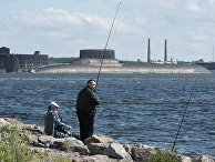 Подводная лодка "Дмитрий Донской" прибыла в Кронштадт, чтобы принять участие в параде в честь Дня ВМФ. 26 июля 2017 Подводная лодка "Дмитрий Донской" прибыла в Кронштадт, чтобы принять участие в параде в честь Дня ВМФ. 26 июля 2017