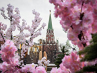 Вид на московский Кремль Вид на московский Кремль