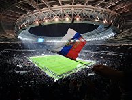 Болельщик сборной России на трибуне стадиона "Лужники" Болельщик сборной России на трибуне стадиона "Лужники"