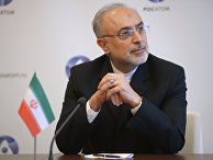 Президент Организации по атомной энергии Ирана доктор Али Акбар Салехи Президент Организации по атомной энергии Ирана доктор Али Акбар Салехи