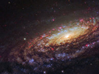 Фотография спиральной галактики NGC 7331, снятая телескопом «Хаббл» Фотография спиральной галактики NGC 7331, снятая телескопом «Хаббл»