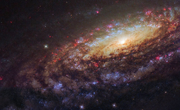    NGC 7331,   «»