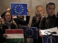 Демонстранты с потретами Владимира Путина и Виктора Орбана на акции протеста в Лондоне Демонстранты с потретами Владимира Путина и Виктора Орбана на акции протеста в Лондоне