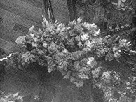 22 июня 1941 года немецкая авиация бомбит советские города 22 июня 1941 года немецкая авиация бомбит советские города