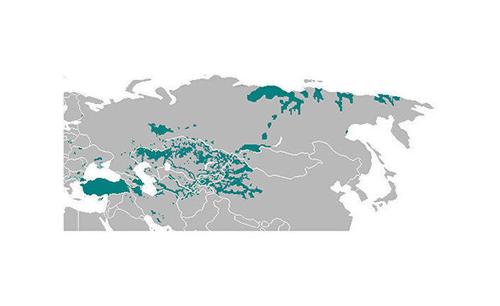 Карта тюркского мира